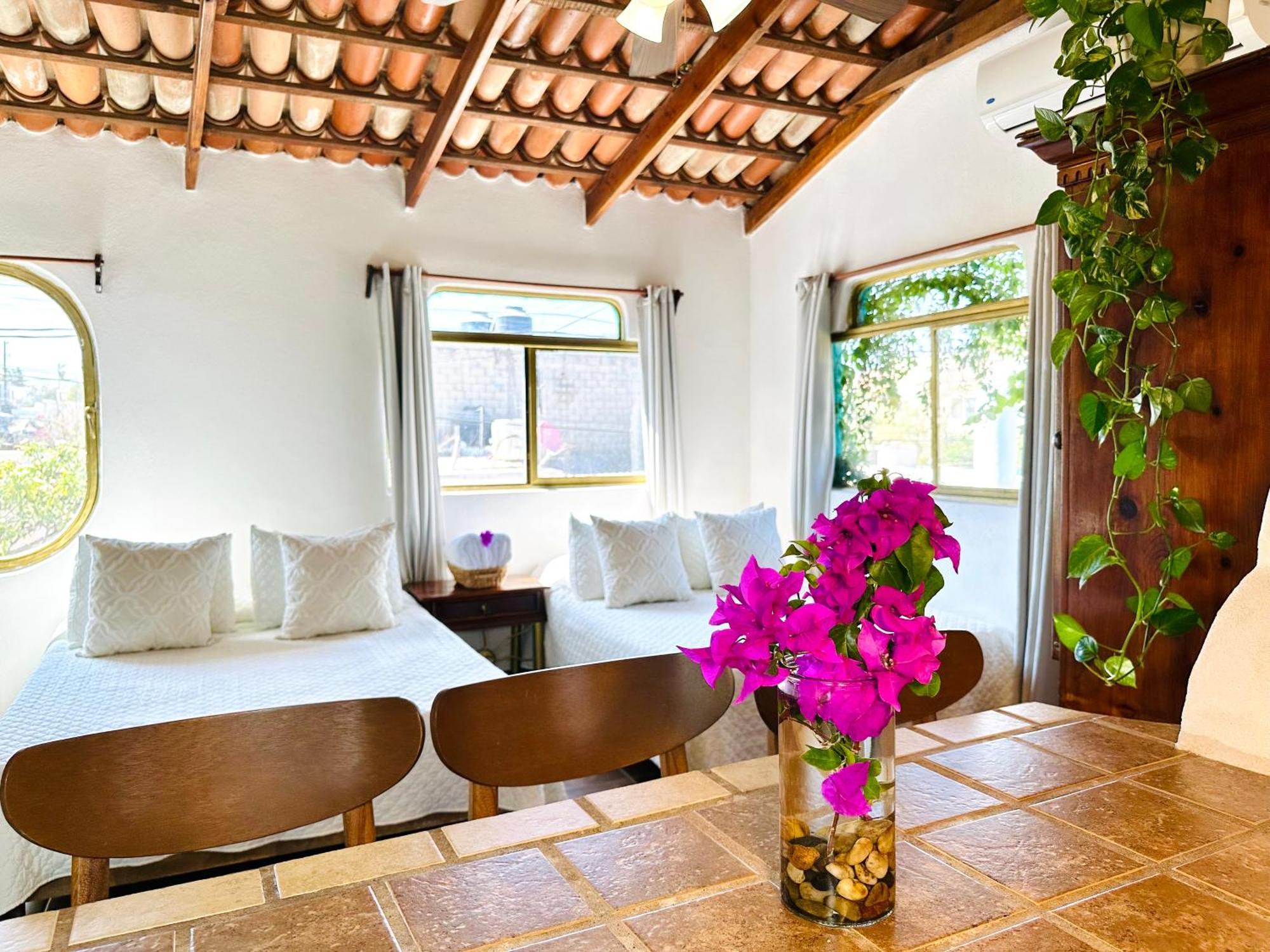 Cabo Bohemia Tropical Garden Studios Cabo San Lucas Exterior photo